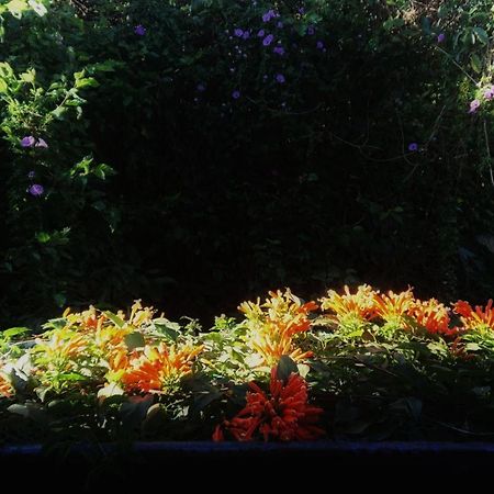 Dalat Inn Homestay Zewnętrze zdjęcie