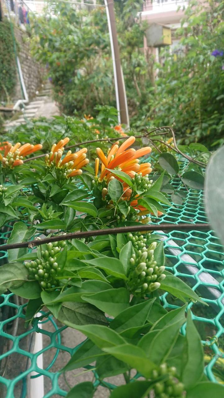 Dalat Inn Homestay Zewnętrze zdjęcie