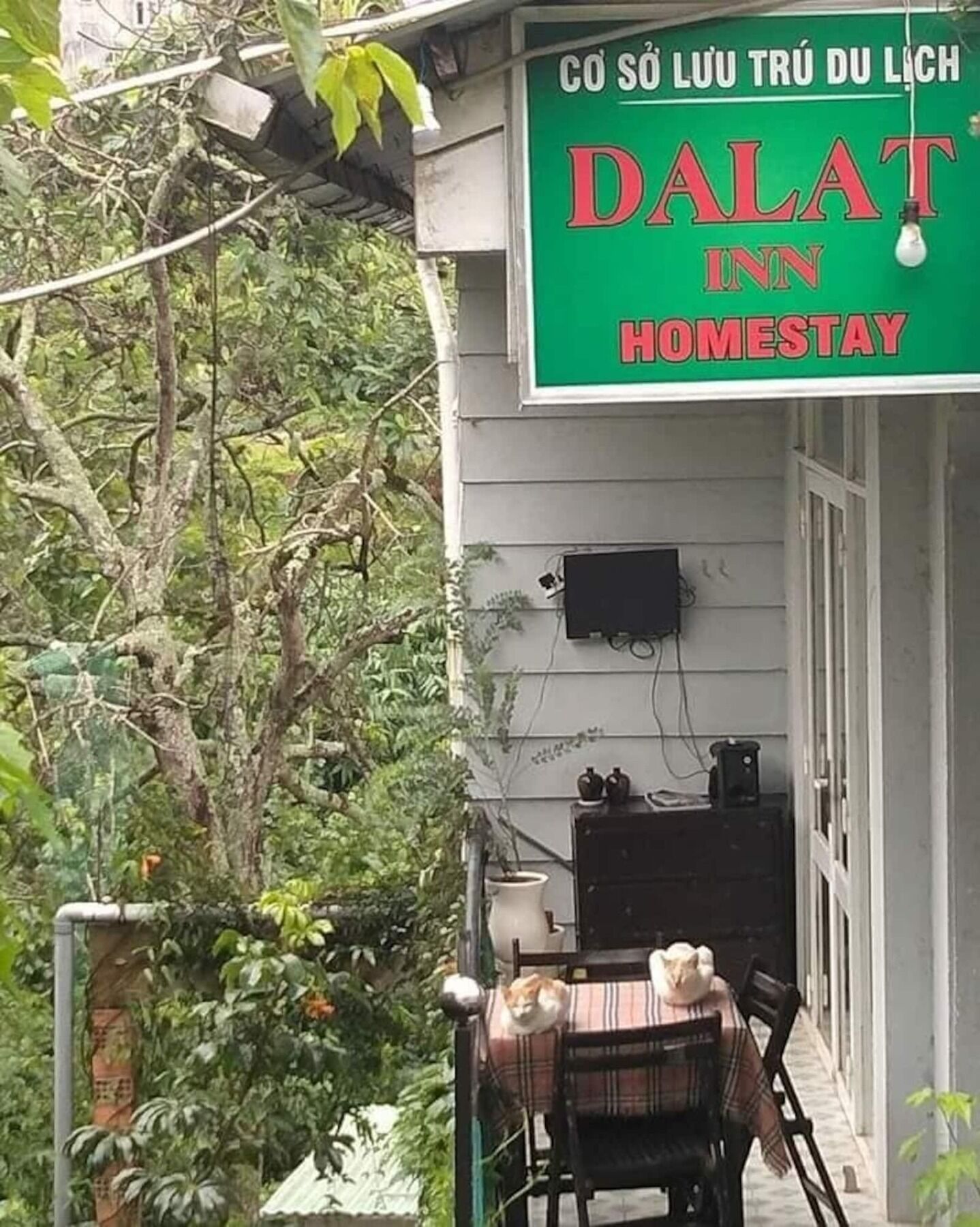 Dalat Inn Homestay Zewnętrze zdjęcie